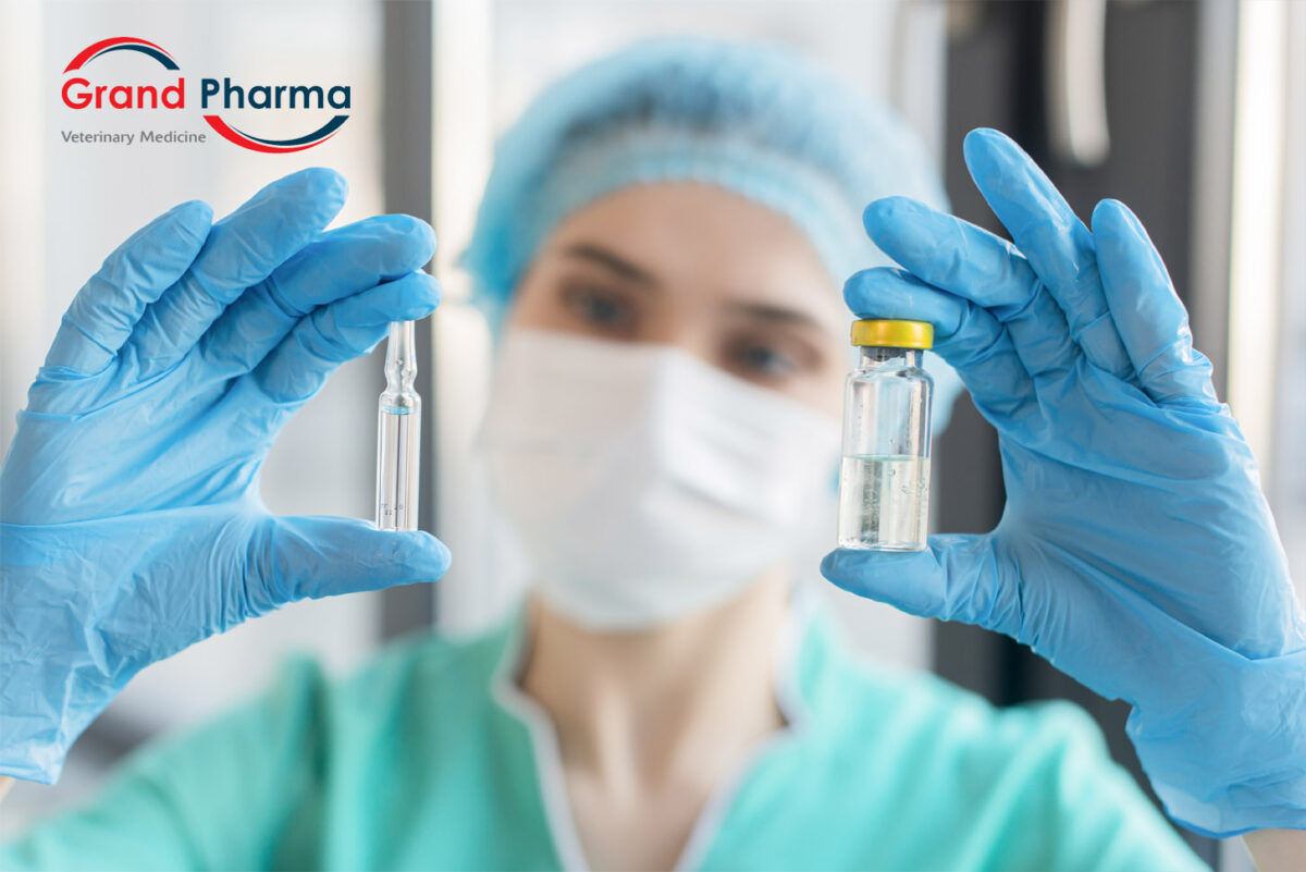About Us | GRAND PHARMA